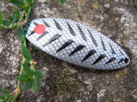 błystka na płytką wodę