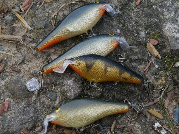 naturalnie wyglądające woblery